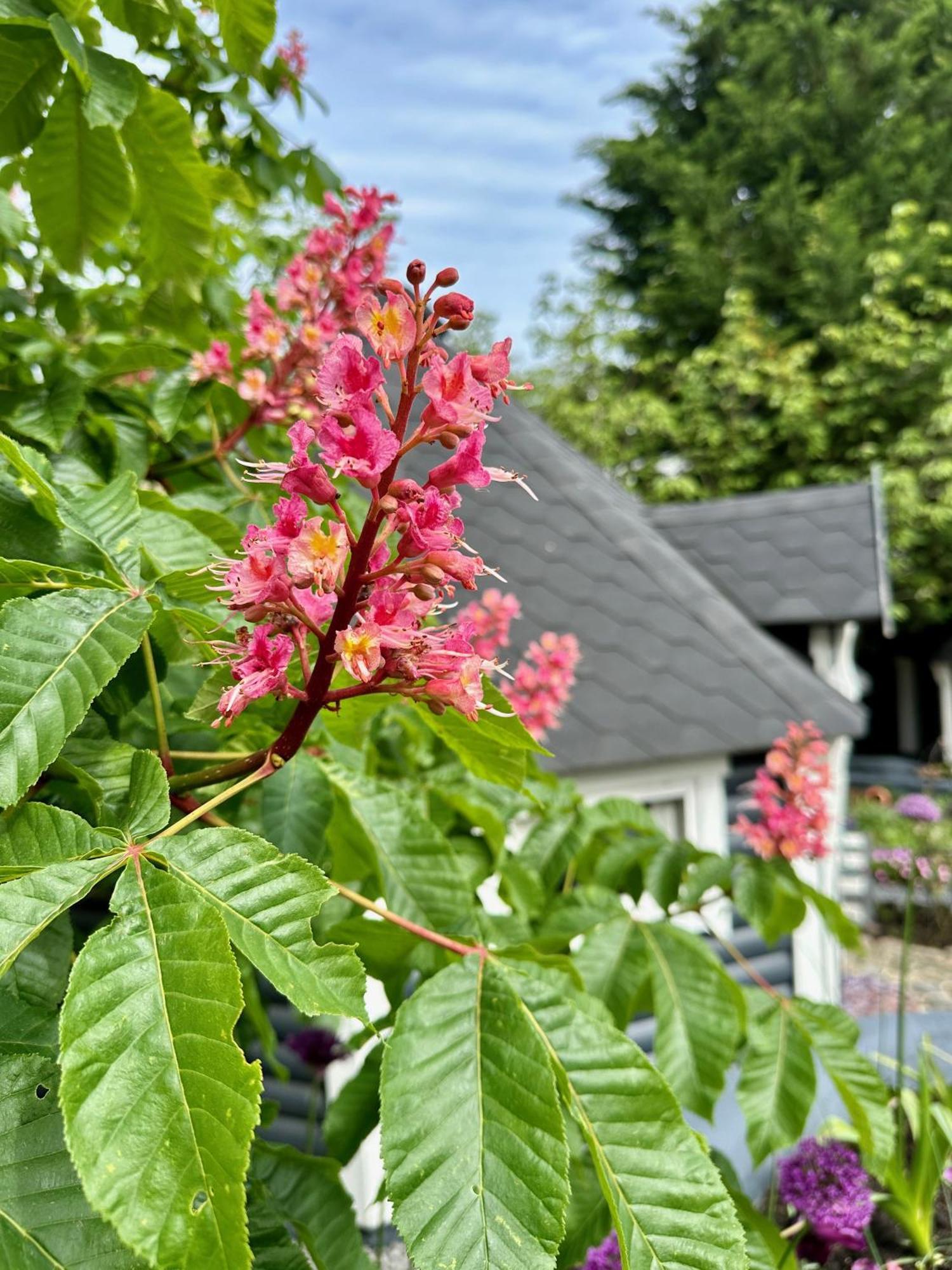 B&B Cosy Garden Alblasserdam Екстериор снимка